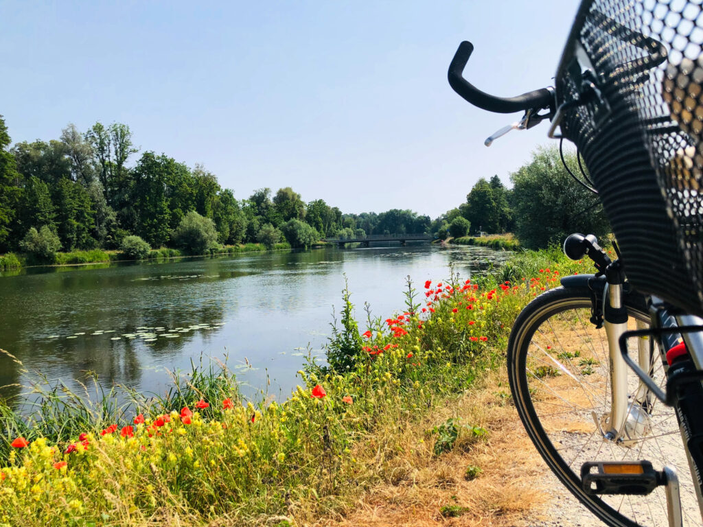 Ammer-Amper Radweg im Dachauer Stadtgebiet, links im Bild die Amper. Am Rand des Radweges gelbe Blümchen und rote Mohnblumen, rechts im Bild ein Fahrrad mit Körbchen.