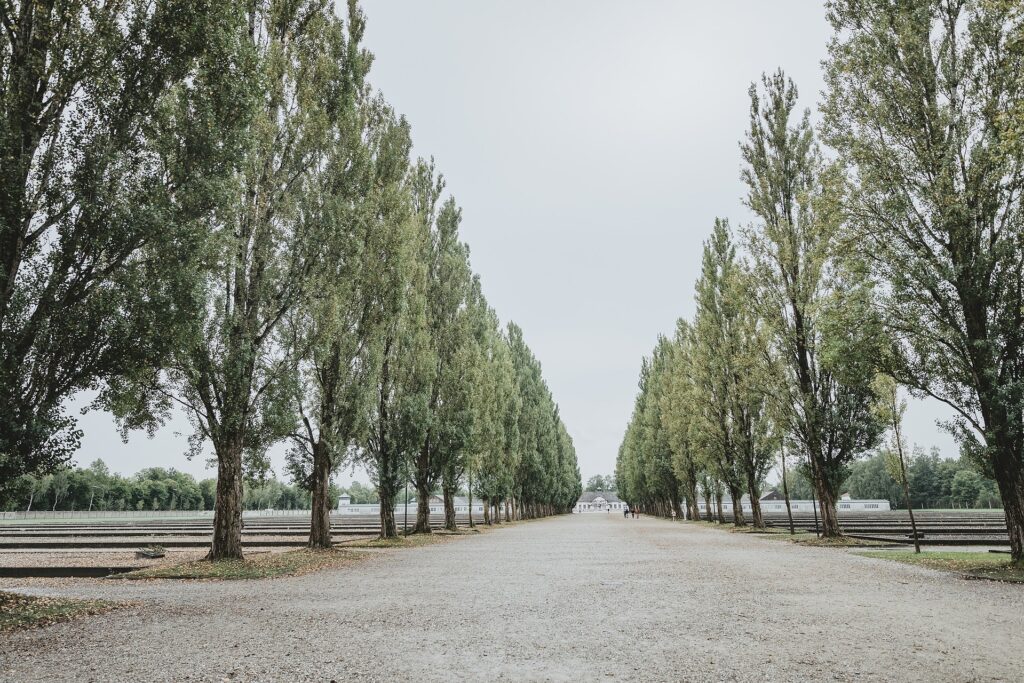 Blick von der Todesangst Christi Kapelle durch die Pappel-Allee in Richtung Appellplatz, Internationales Mahnmal und Jourhaus.