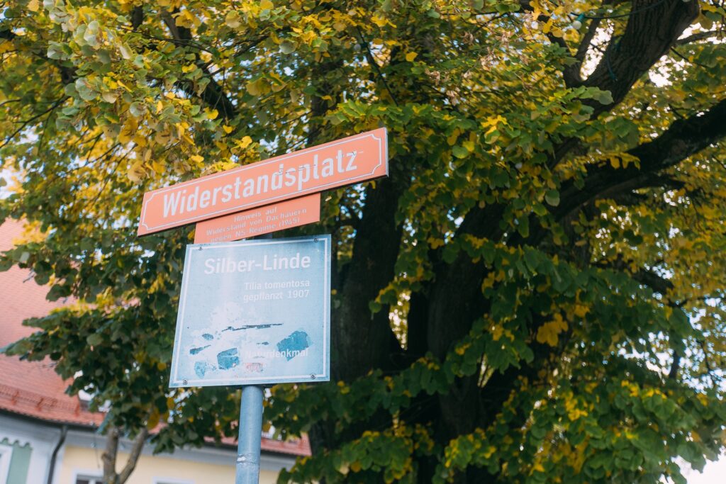 Blick auf die belaubte Krone der Silber-Linde am Widerstandsplatz. Davor ein Straßenschild Widerstandsplatz mit Zusatzschild: Hinweis auf Widerstand von Dachauern gegen NS Regim.e